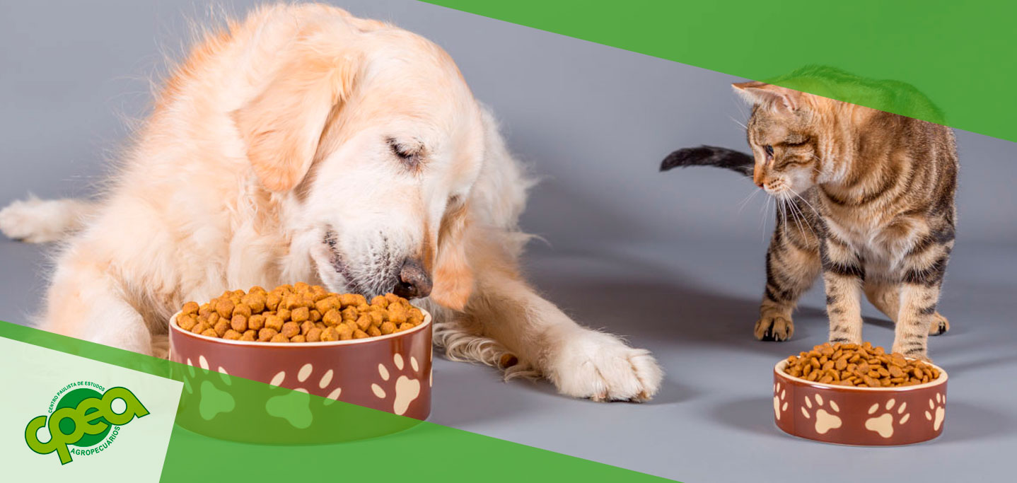 Cuidados com a Alimentação de Pets