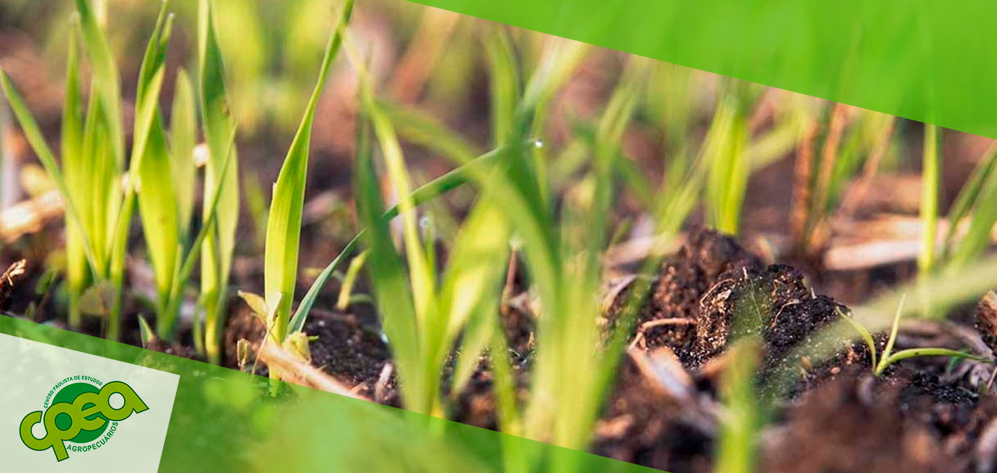 Manejo Fisiológico e a Otimização da Agricultura