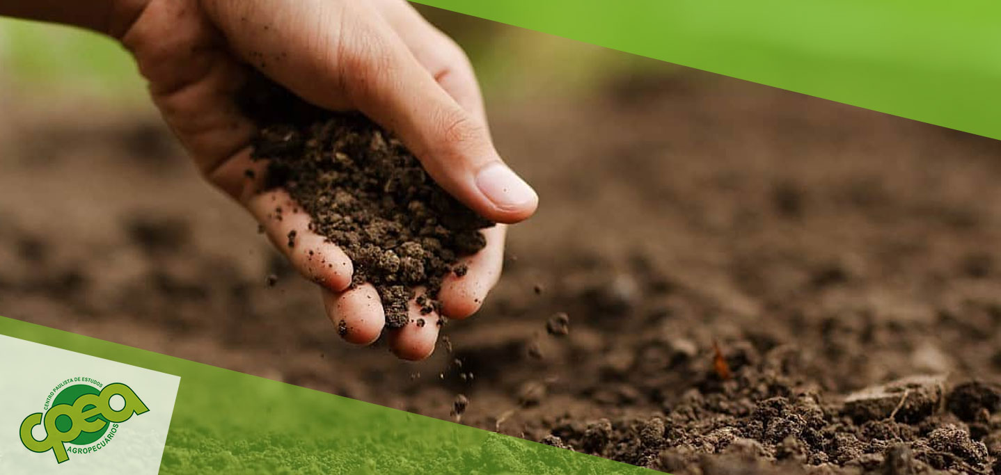 Como Fazer e Qual a Importância da Análise do Solo na Agricultura