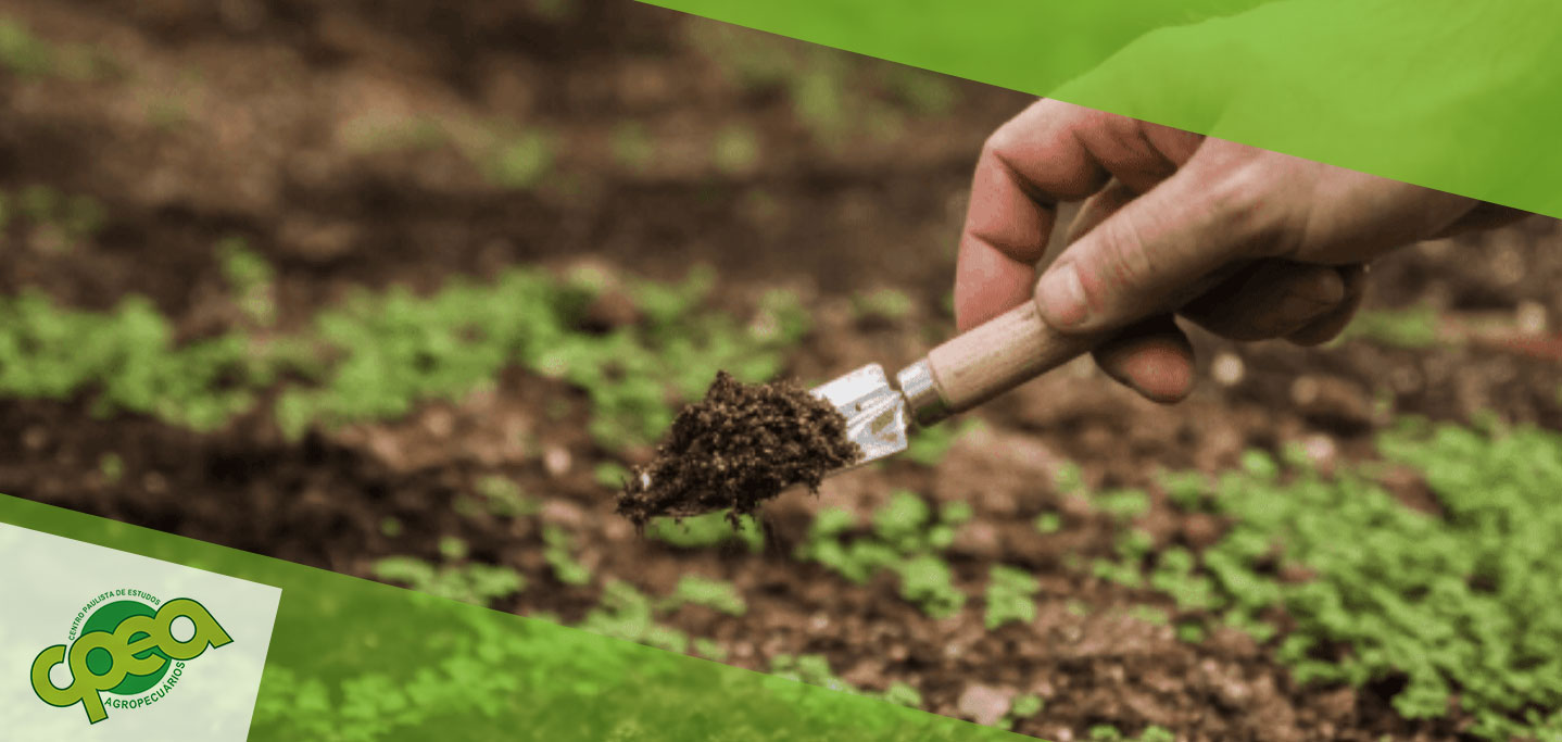 Mapeamento de Solos e Aptidão Agrícola: Base para uma Agricultura Sustentável