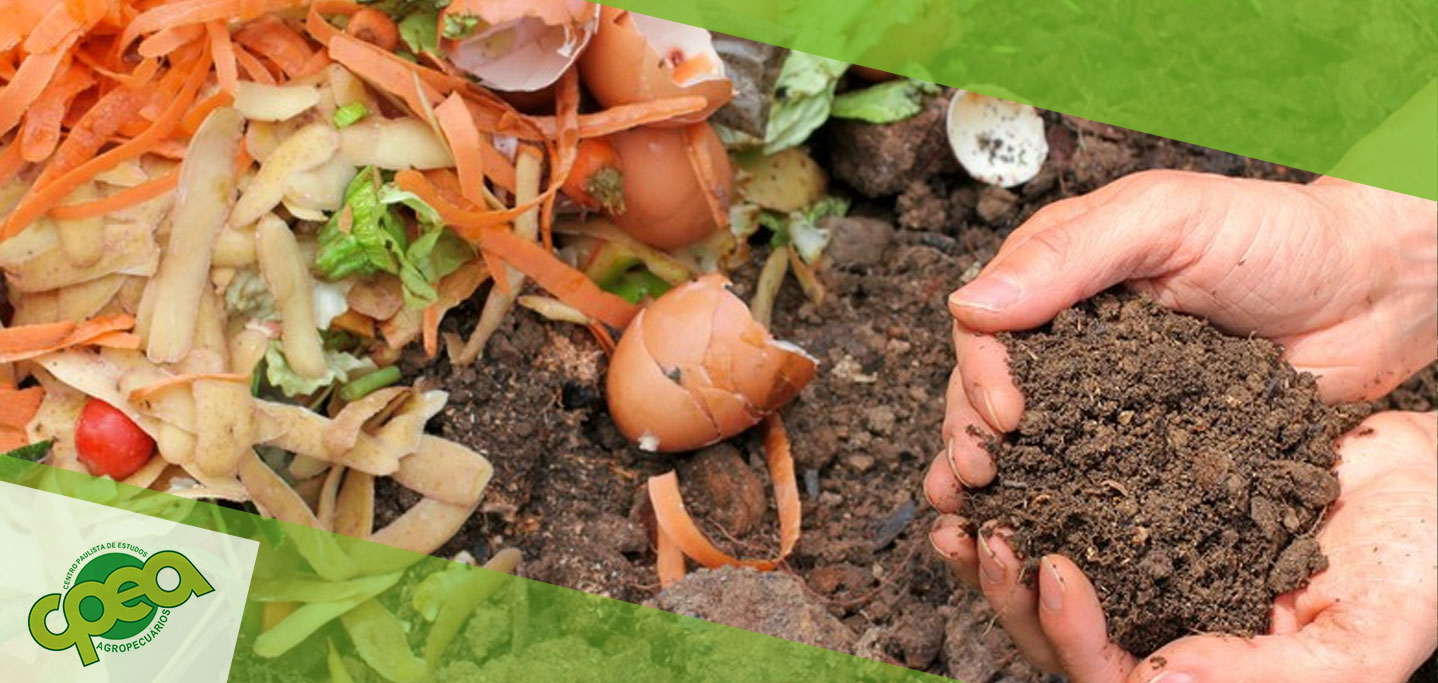 Compostagem no Agronegócio