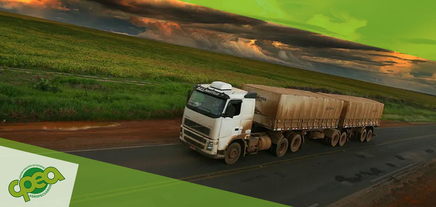 Logística no Agronegócio: O Caminho dos Produtos do Campo ao Mercado