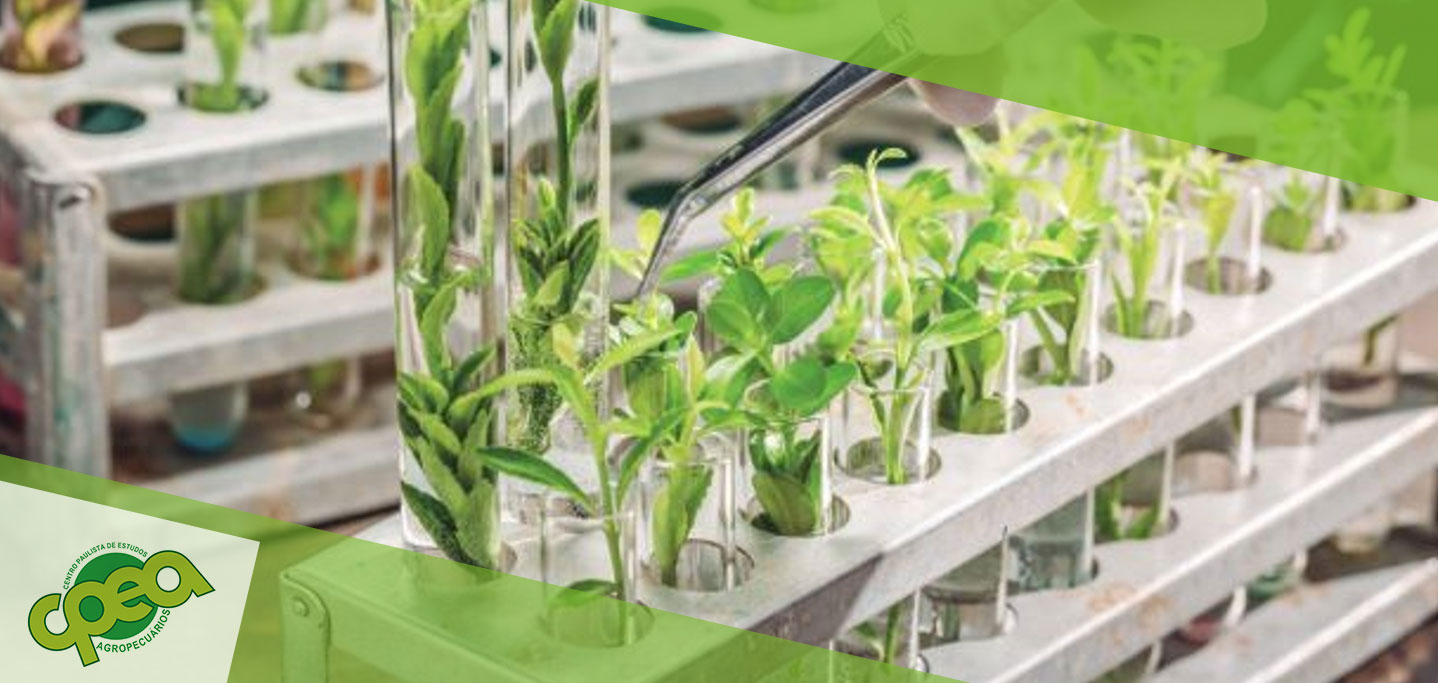 Bioinsumos: O Futuro Sustentável da Agricultura Moderna