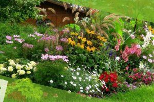 plantas-ornamentais