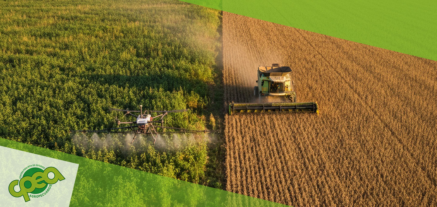 Dessecação pré-plantio da soja: benefícios, técnicas e melhores práticas