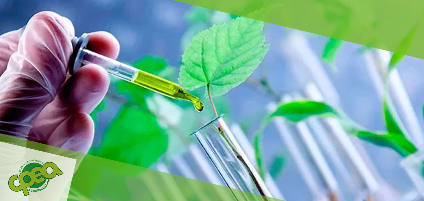 As Cultivares do Futuro: O Poder da Genética na Agricultura Brasileira