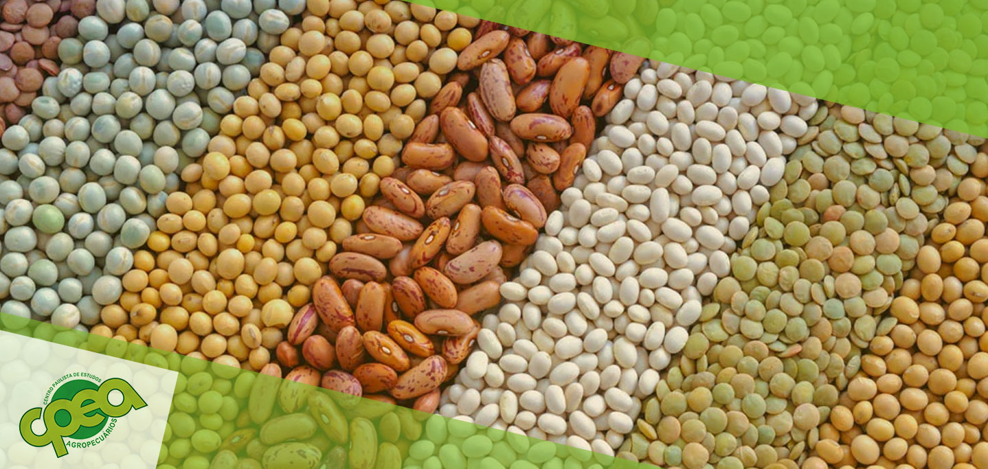 Originação de Grãos: Tudo o Que Você Precisa Saber
