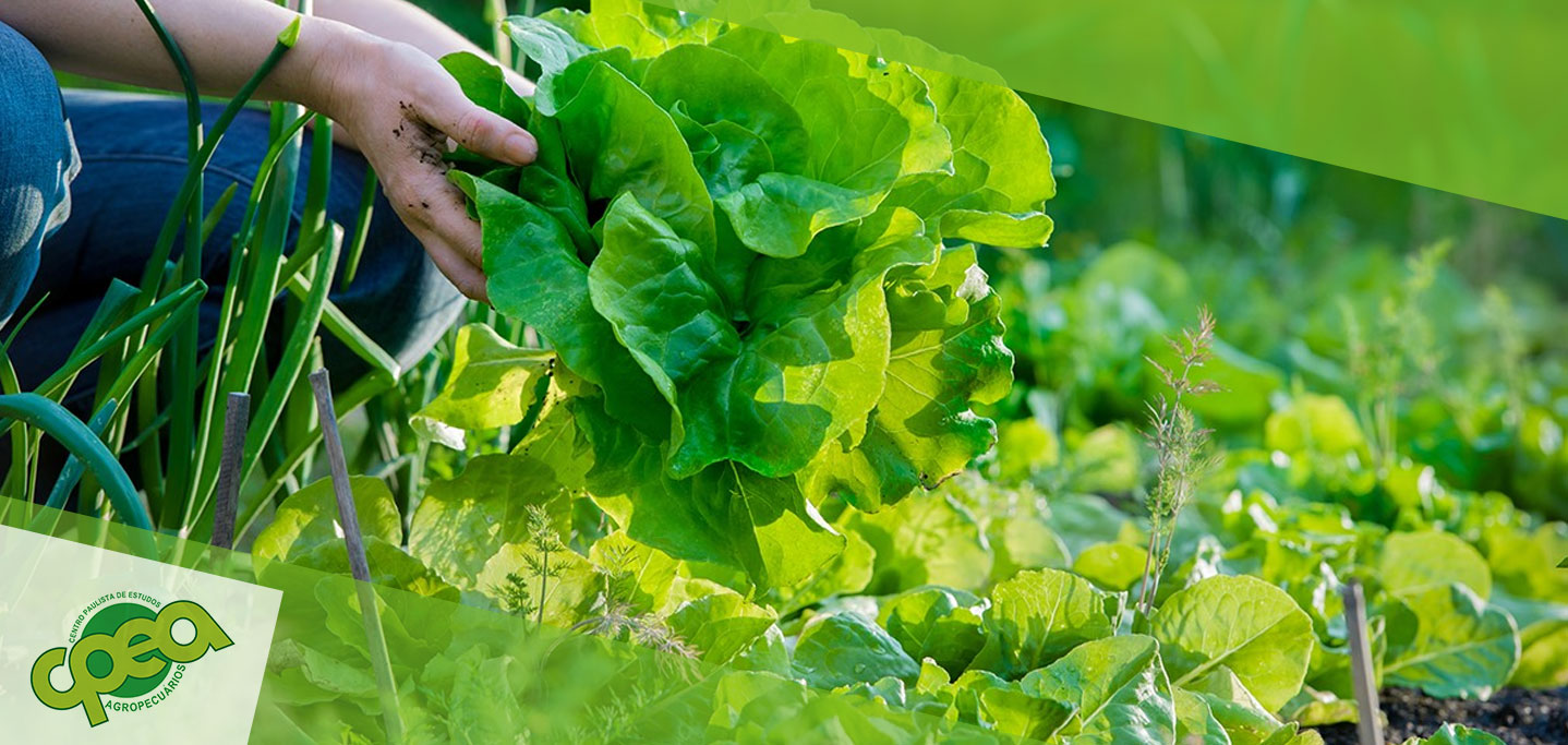 Agroecologia: Conceitos Fundamentais