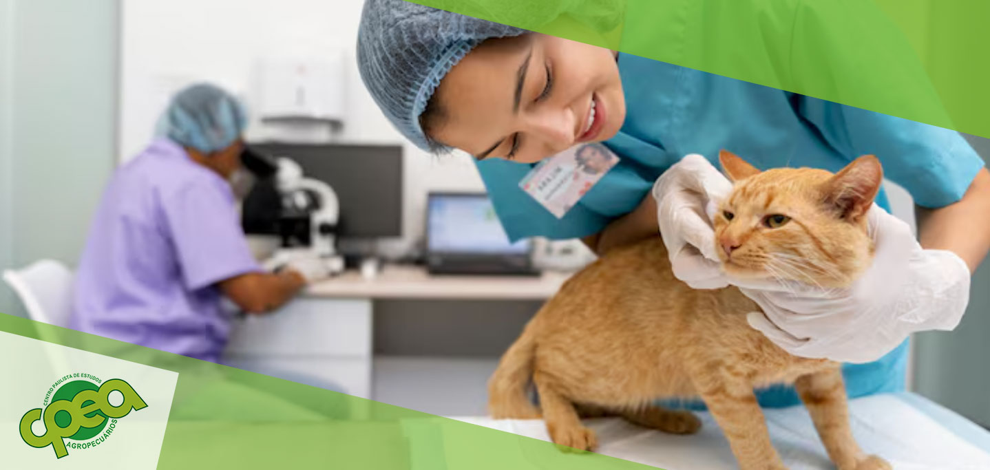 Auxiliar Veterinário: Como o Mercado Pet Está Transformando a Profissão