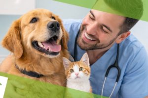 Medicina-Preventiva-em-Cães-e-Gatos