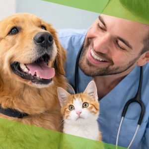 Medicina Preventiva em Cães e Gatos: Como o Auxiliar de Veterinário Faz a Diferença