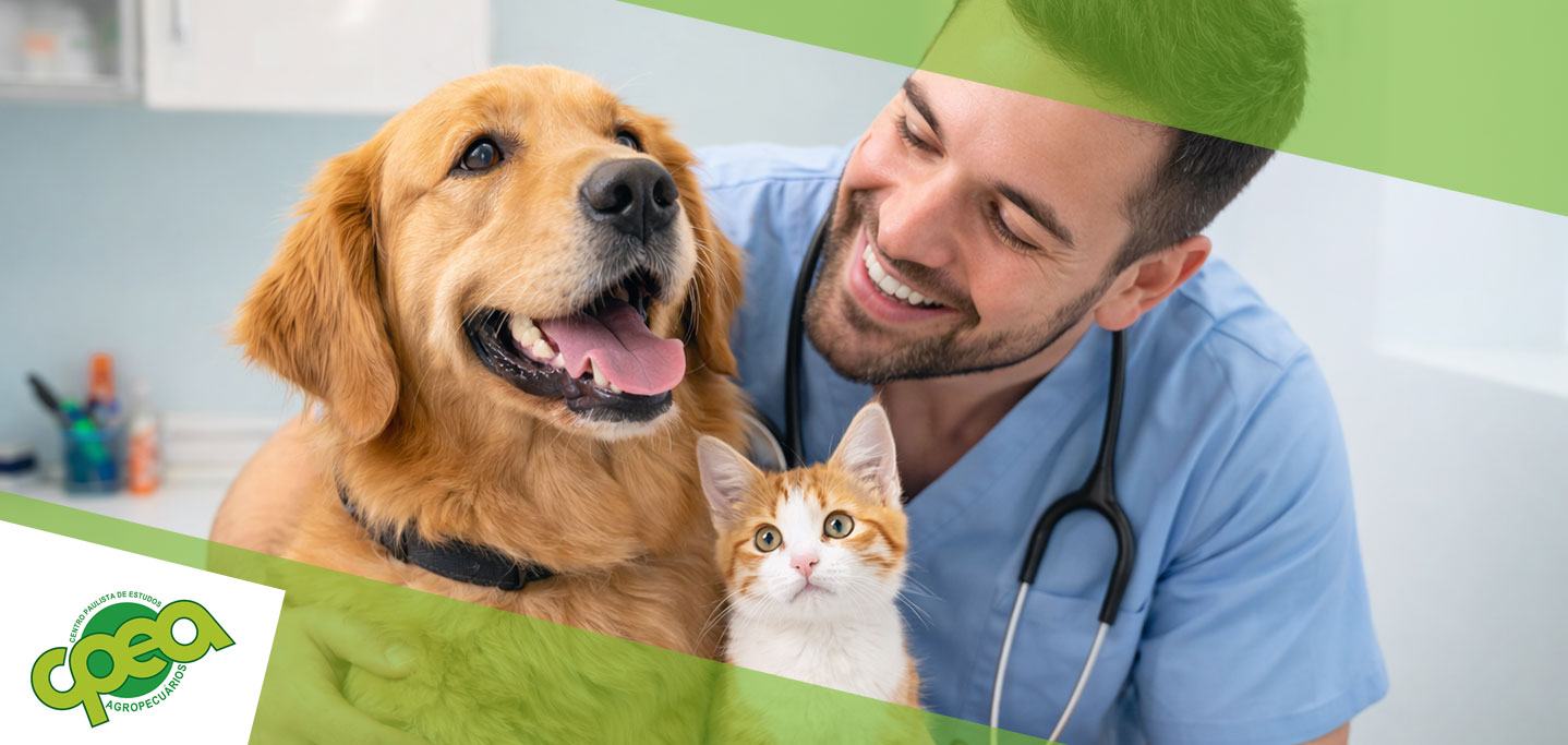 Medicina Preventiva em Cães e Gatos: Como o Auxiliar de Veterinário Faz a Diferença