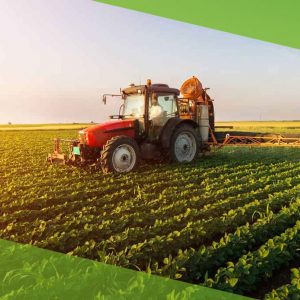 Curva de Consumo na Agropecuária: conceito, fases e aplicações