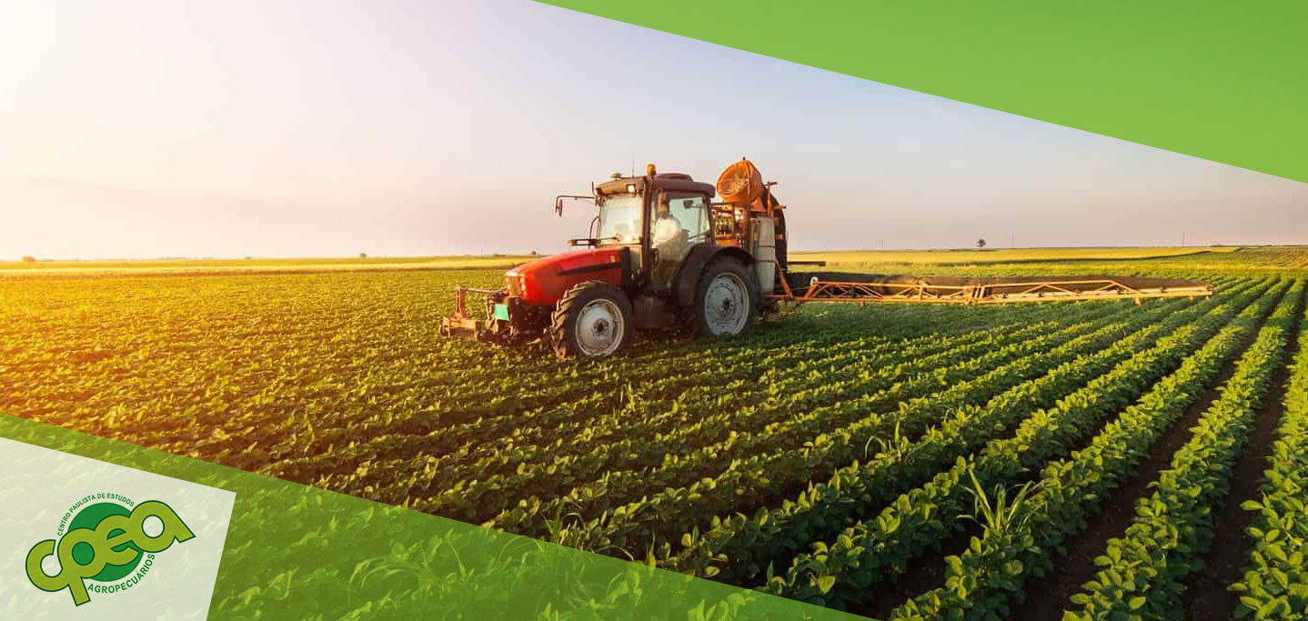 Curva de Consumo na Agropecuária: conceito, fases e aplicações