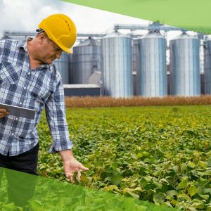 Profissionais do agronegócio: características que o mercado mais valoriza