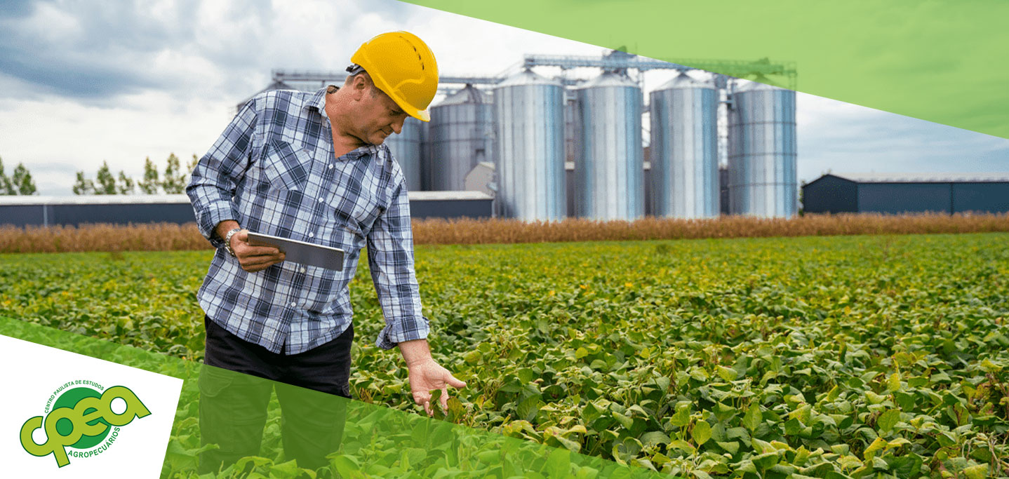 Profissionais do agronegócio: características que o mercado mais valoriza