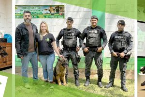 capa-treinamento