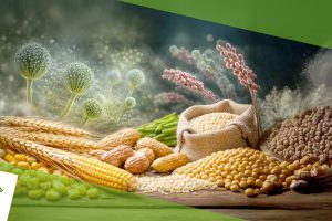 Micotoxinas