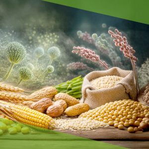 Micotoxinas em Grãos: riscos, identificação e estratégias de controle na produção agrícola