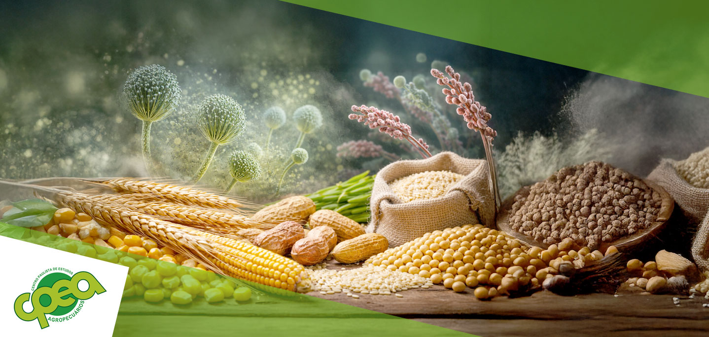 Micotoxinas em Grãos: riscos, identificação e estratégias de controle na produção agrícola