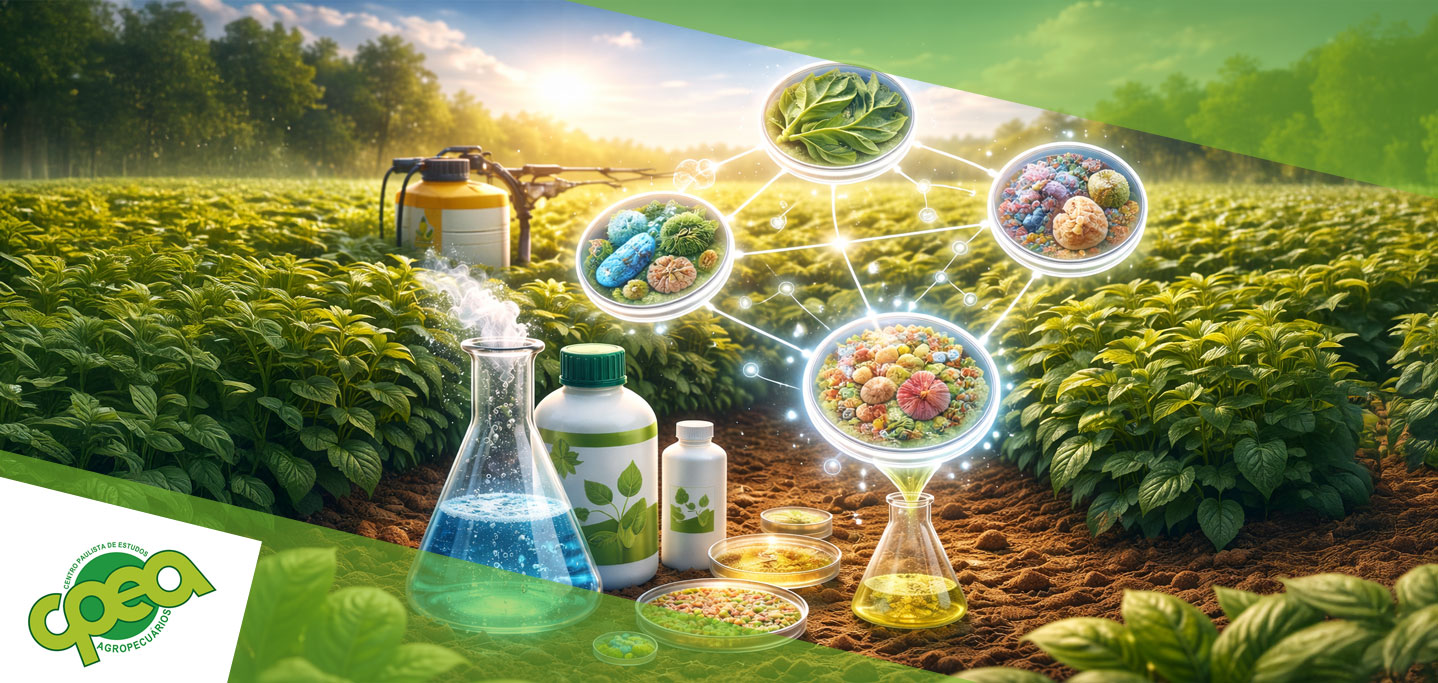 Compatibilidade entre Bioinsumos e Produtos Químicos