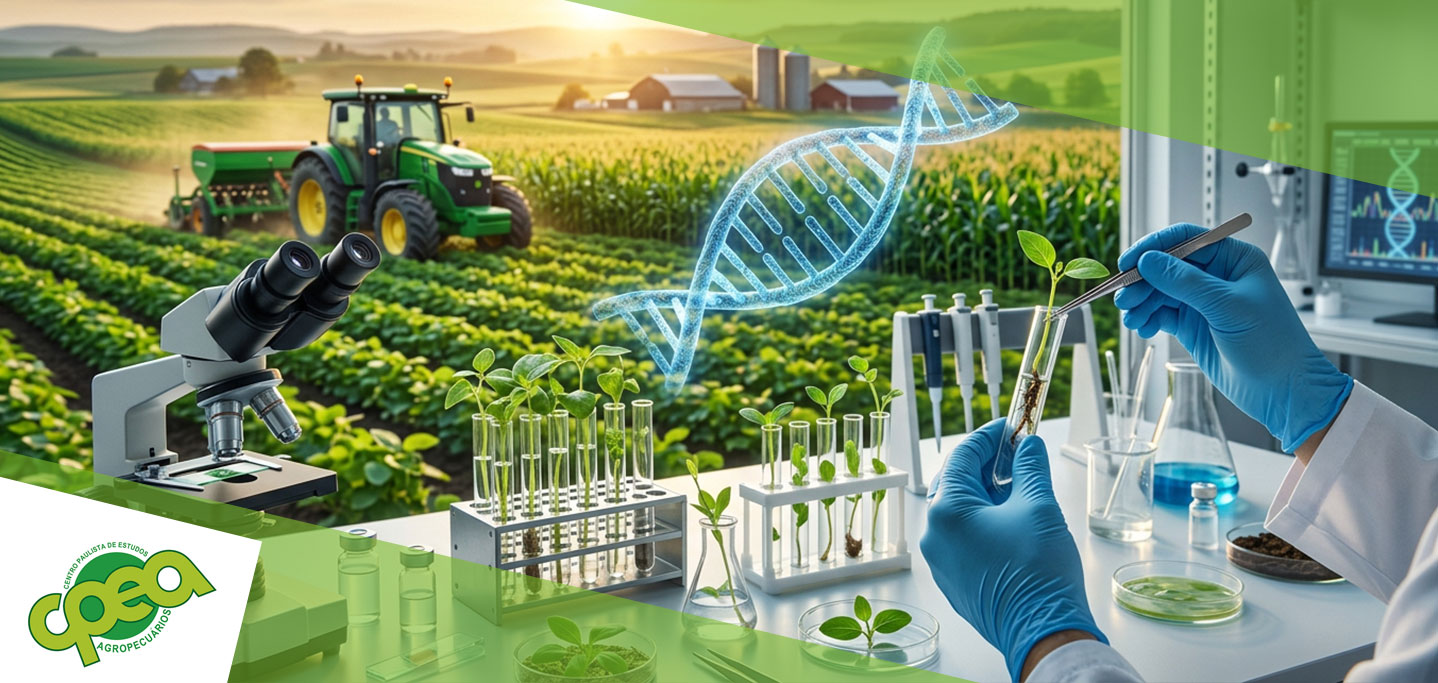 O que são alimentos transgênicos e como são produzidos?