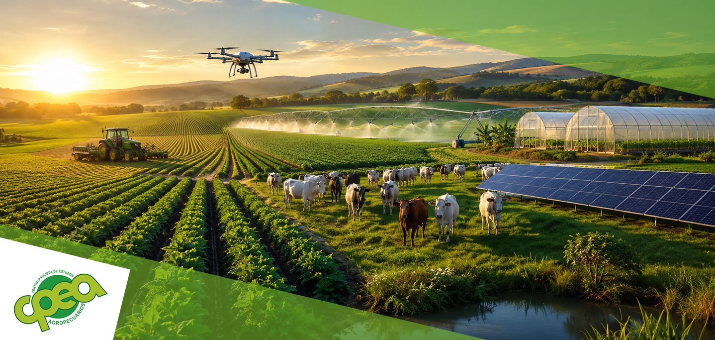 As Áreas Promissoras Do Agronegócio Para Os Próximos Anos
