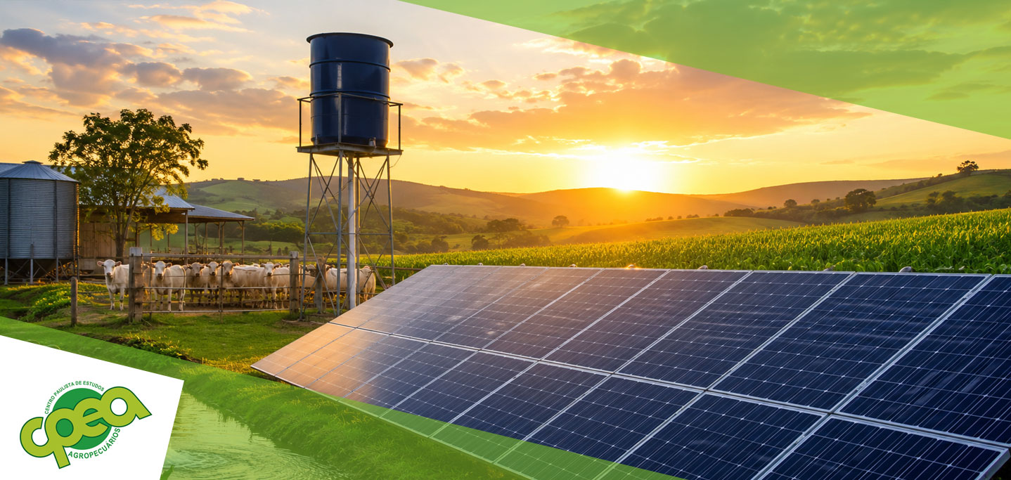 Energia Solar no Campo: Economia e Sustentabilidade nas Propriedades Rurais